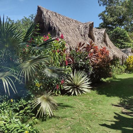 Sexto Sentido Cabanas & Pan Frances Palomino Exterior foto