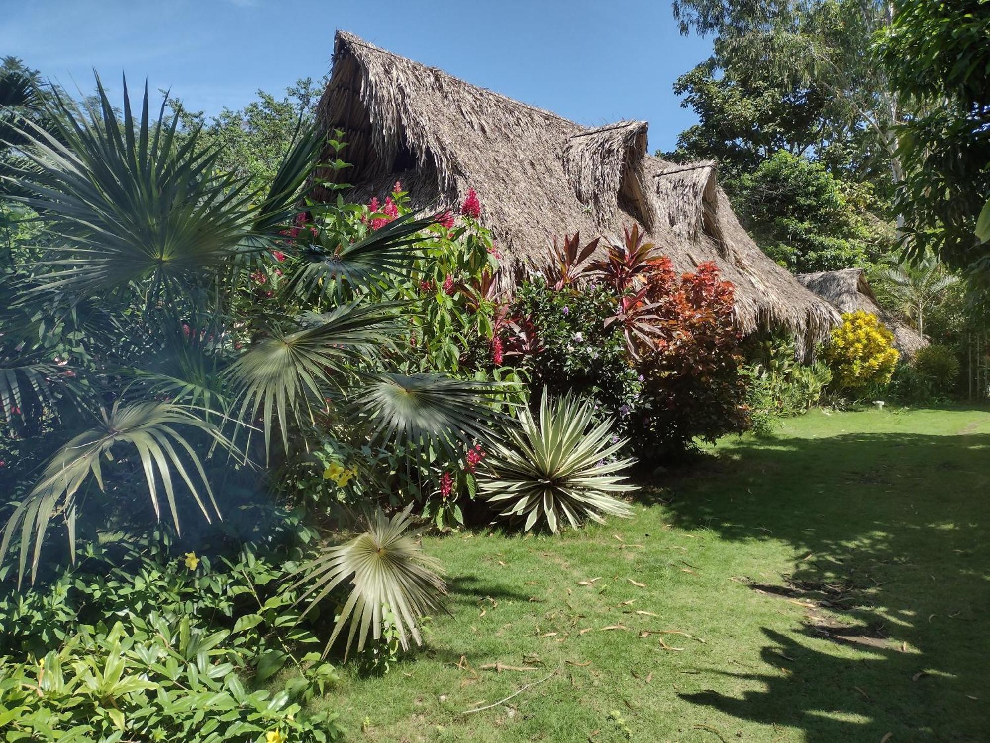 Sexto Sentido Cabanas & Pan Frances Palomino Exterior foto